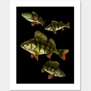 Perch Posters and Art